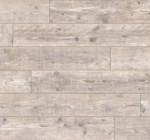 Дуб Севиль 1872056