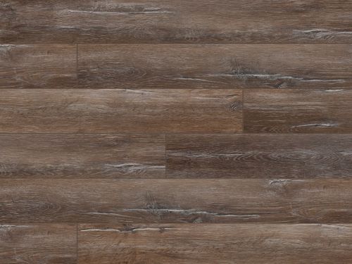 Дуб Палау 1872072