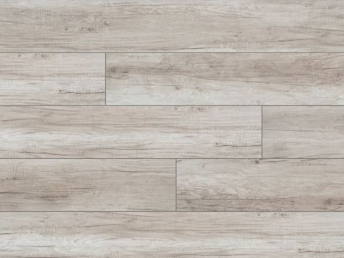 Дуб Антик 1872073