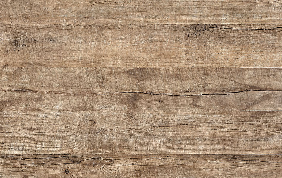 Сосна Вайоминг 46416